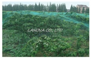 ANTI BIRD NET, GM-0007