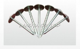 NAIL, NA-0004
